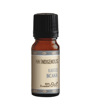 Karoo Incana Essential Oil | Pure Indigenous