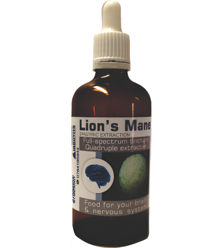 Organic Lion's Mane Tincture