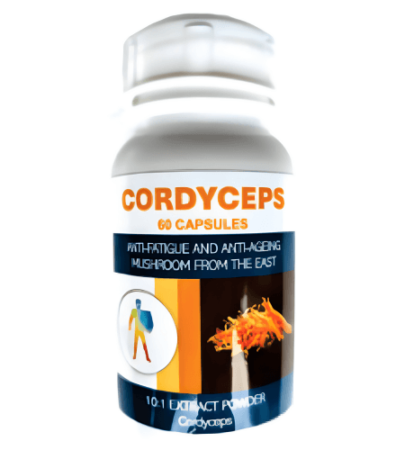 Premium Cordyceps Capsules