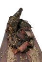 Buy Premium Biltong-1Kg - High-Protein, Low-Carb Snack